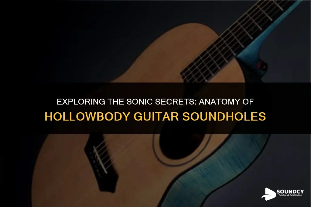 what are the sound holes of a hollowbody guitar