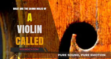 Unveiling the Mystery: What Are Violin Sound Holes Called?