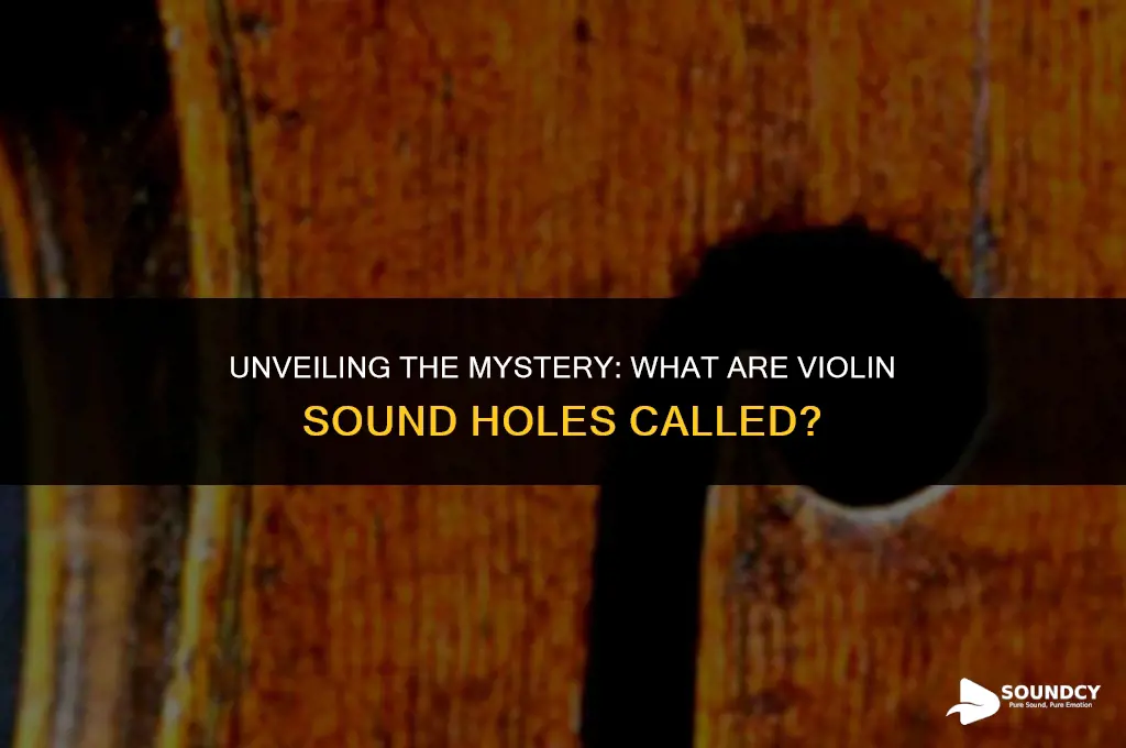 what are the sound holes of a violin called