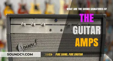 Exploring the Sonic Fingerprints of Guitar Amplifiers