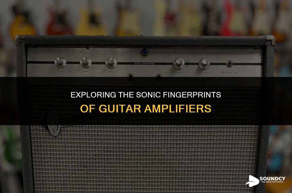 what are the sound signatures of the guitar amps