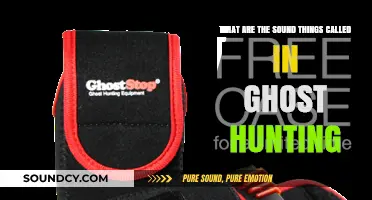 Exploring the Paranormal: A Guide to Ghost Hunting Sounds