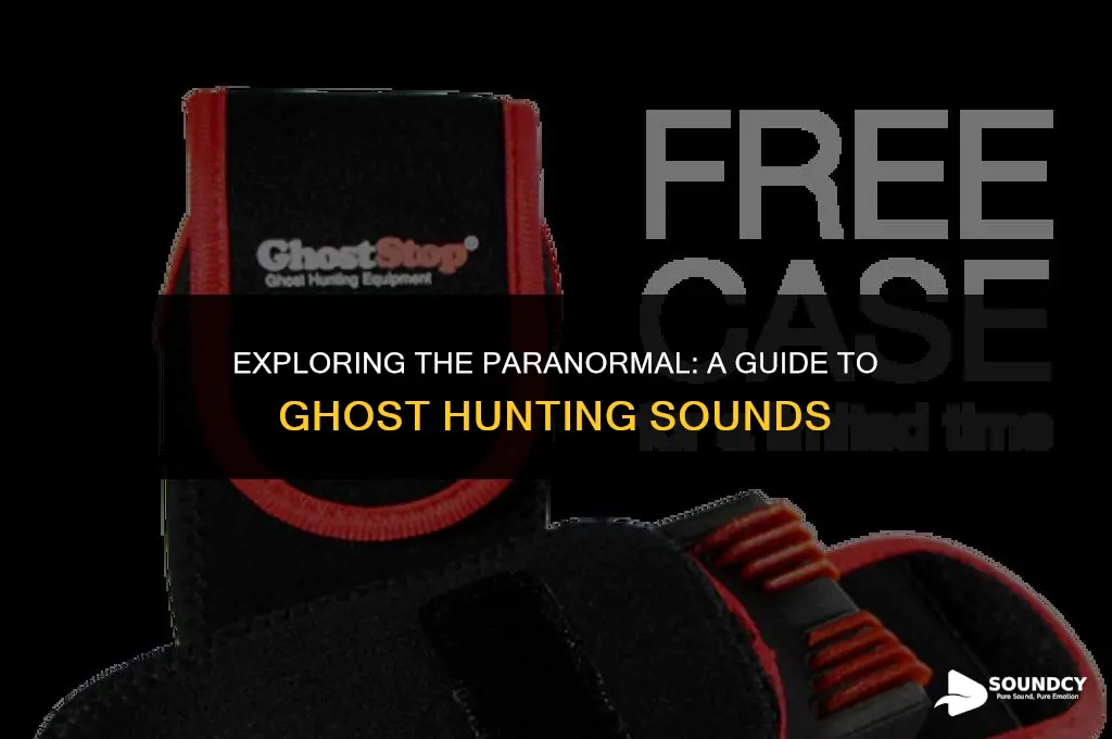 what are the sound things called in ghost hunting