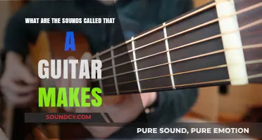 Exploring the Sonic Palette: What Are the Sounds a Guitar Makes?