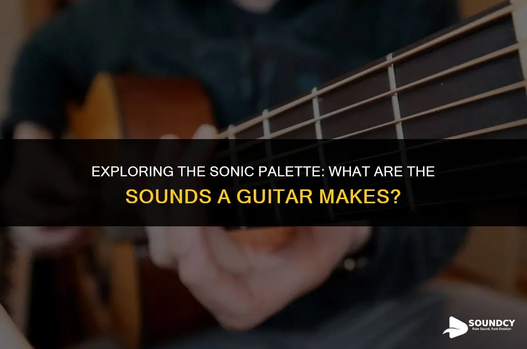 what are the sounds called that a guitar makes