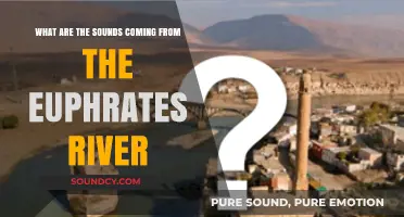Echoes of the Euphrates: Unraveling the River's Sonic Mysteries