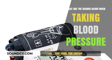 Understanding the Sounds: A Guide to Blood Pressure Monitoring