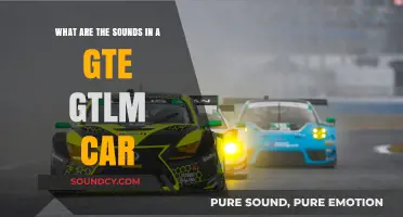 Exploring the Sonic Symphony of a GTE GTLM Race Car