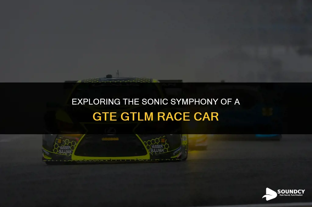 what are the sounds in a gte gtlm car