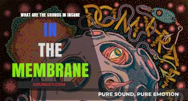 Decoding the Sonic Chaos: Inside Insane in the Membrane