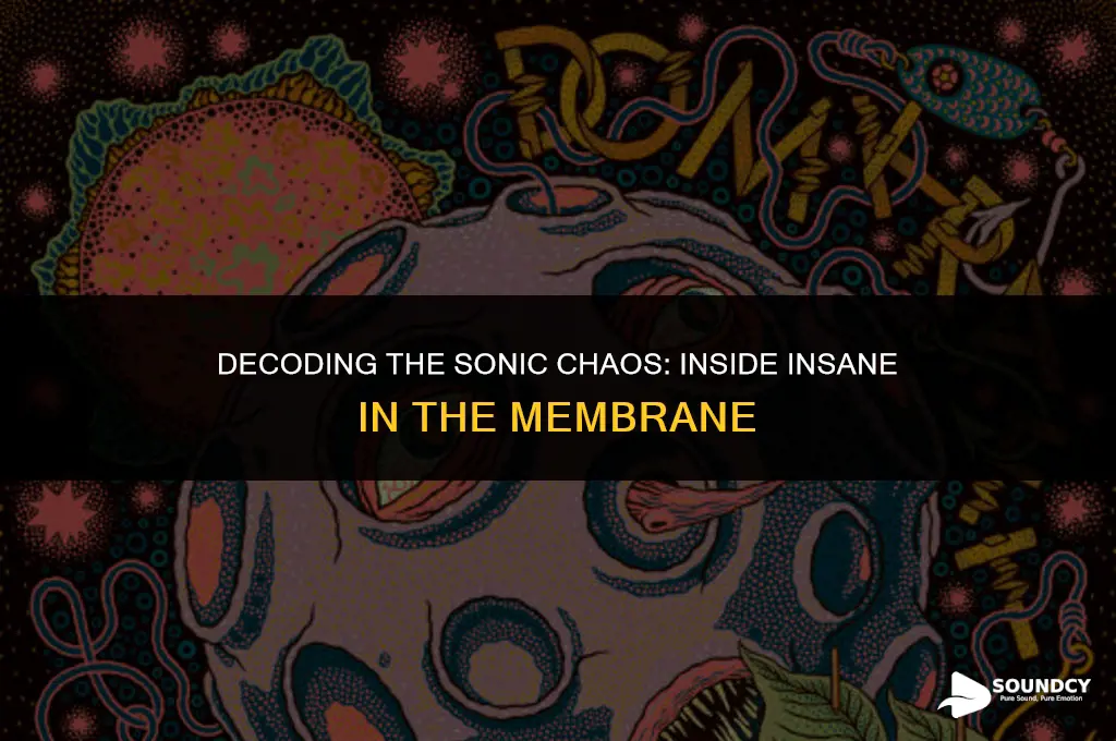 what are the sounds in insane in the membrane