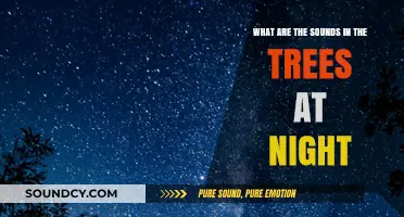 Nocturnal Nature's Symphony: Unveiling the Sounds in the Trees at Night