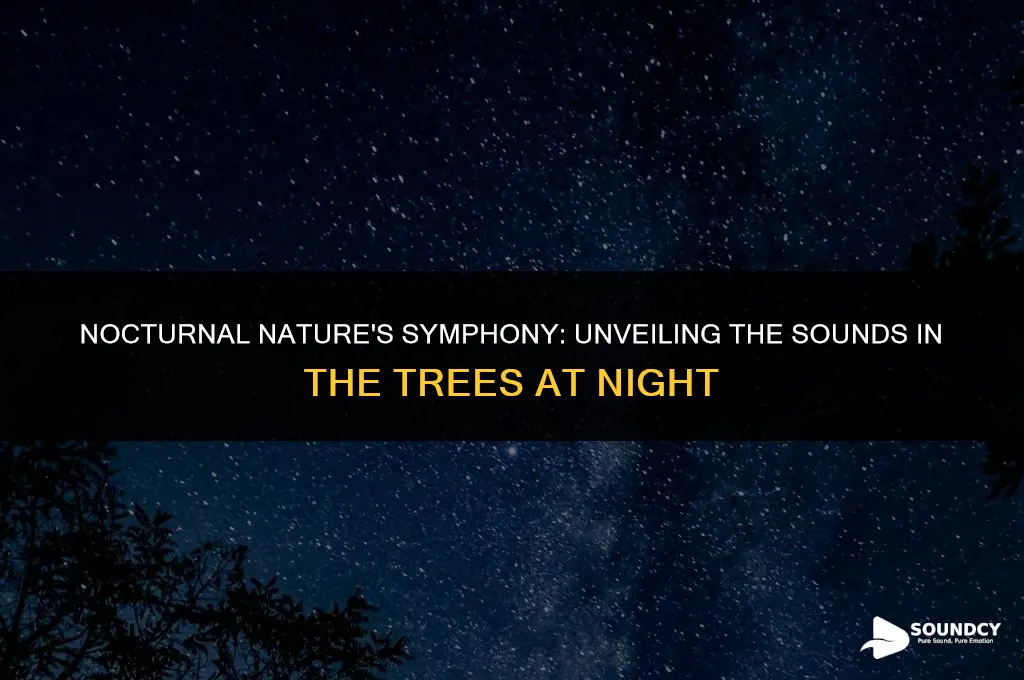 what are the sounds in the trees at night