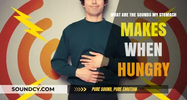 Decoding the Rumblings: Understanding Your Stomach's Hunger Signals