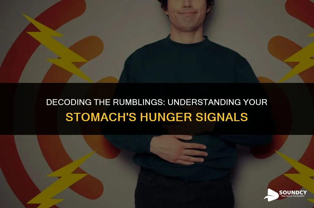 what are the sounds my stomach makes when hungry