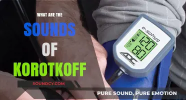 Korotkoff Sounds: What Do They Mean?