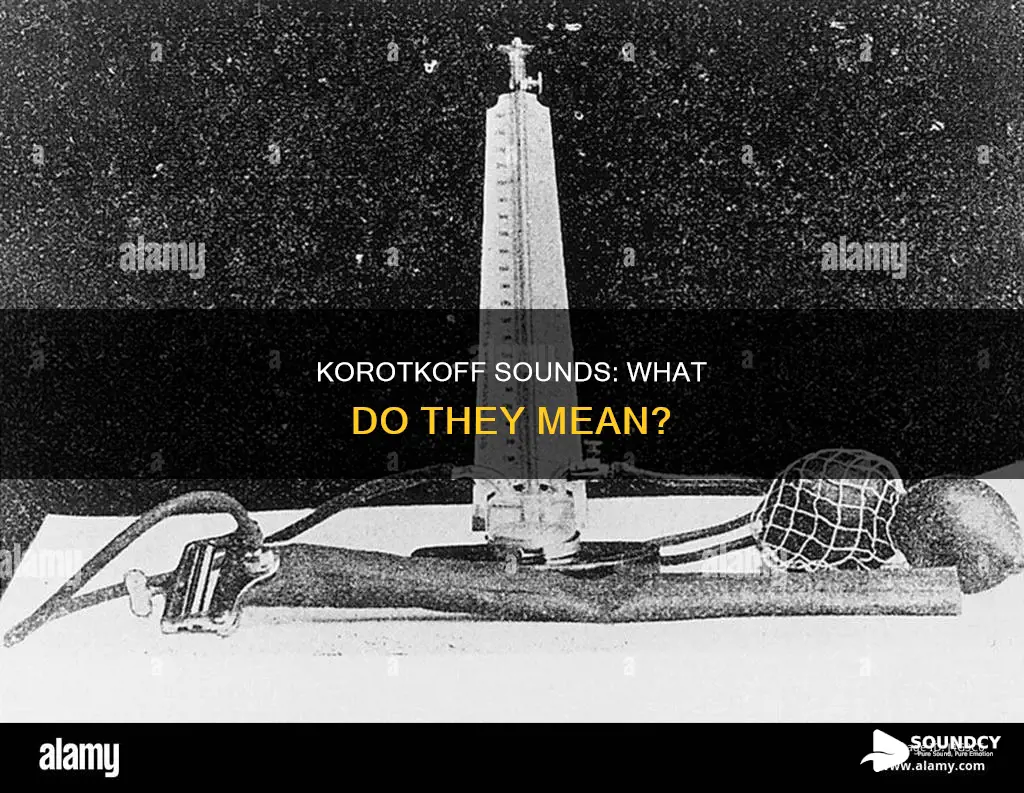 what are the sounds of korotkoff