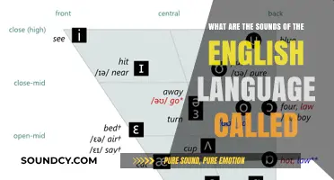 Exploring the Sonic Landscape: What Are the Sounds of English Called?