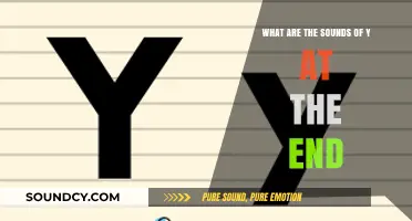 Exploring the Phonetics: What Are the Sounds of 'Y' at the End?