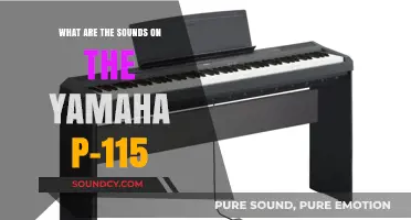 Exploring the Sonic Palette of the Yamaha P-115
