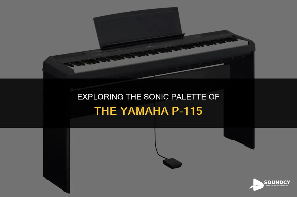 what are the sounds on the yamaha p-115