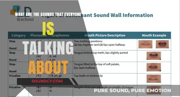 Decoding the Viral Sounds: What's Got Everyone Talking?