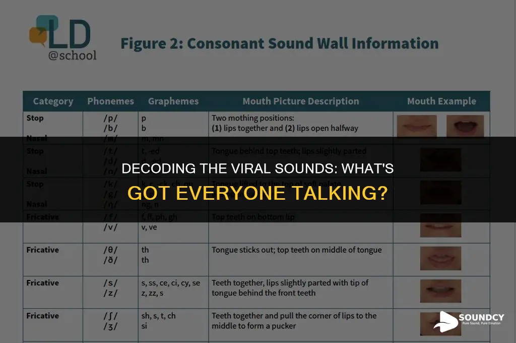 what are the sounds that everyone is talking about