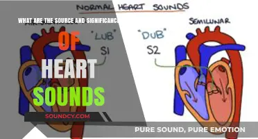 Exploring the Origins and Importance of Heart Sounds