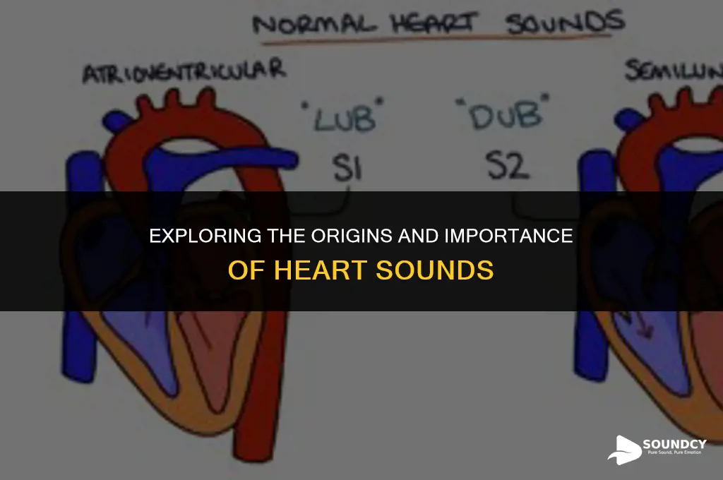 what are the source and significance of heart sounds