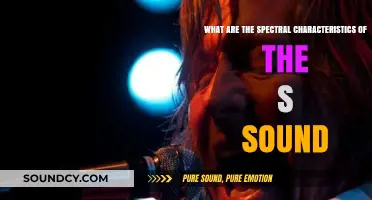 Unveiling the Sonic Spectrum: A Deep Dive into the 'S' Sound