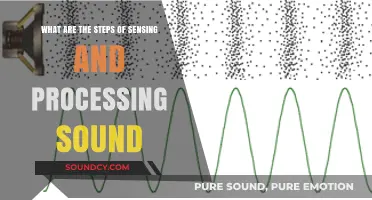 Exploring the Journey of Sound: From Ears to Brain