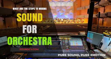 Harmonizing the Ensemble: A Guide to Mixing Sound for Orchestra
