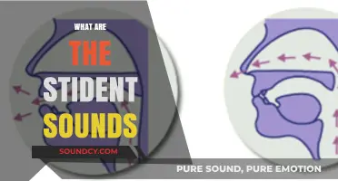 Exploring Student Sounds: Understanding Phonetics and Articulation in Learning