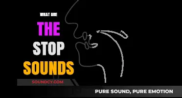 Understanding Stop Sounds: A Comprehensive Guide to Plosive Consonants
