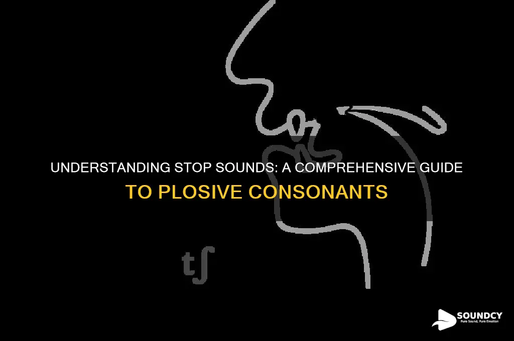 what are the stop sounds