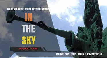Unraveling the Mystery: Strange Trumpet Sounds in the Sky Explained