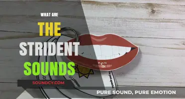 Understanding Strident Sounds: Definition, Examples, and Their Impact on Hearing