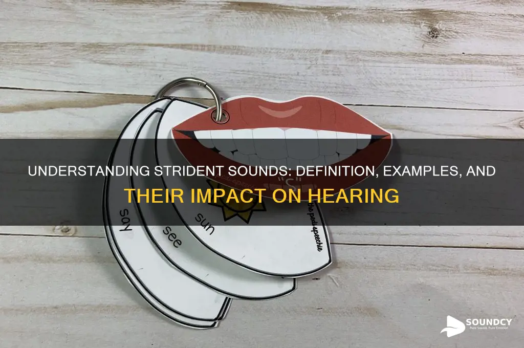 what are the strident sounds