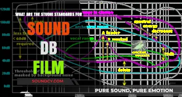Decoding the Decibels: Understanding Studio Standards for Film Sound