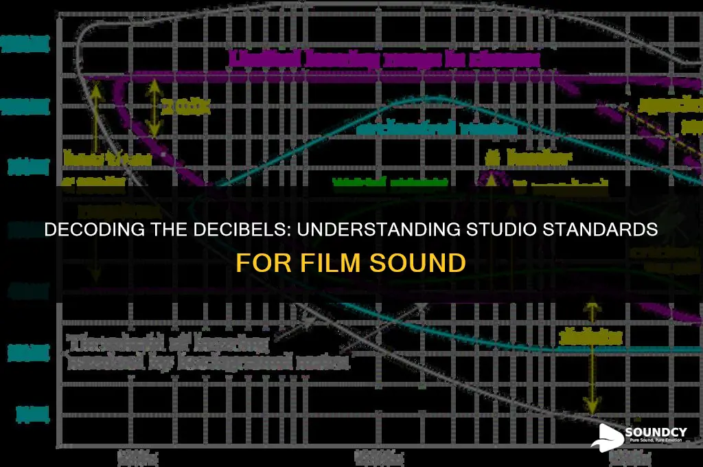 what are the studio standards for sound db film