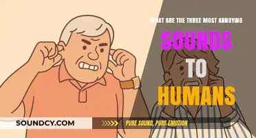 The Top Three Irritating Sounds That Drive Humans Crazy