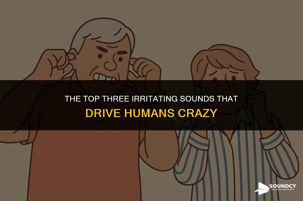 what are the three most annoying sounds to humans