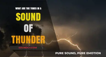 Exploring the Tonal Depths of a Thunderous Roar
