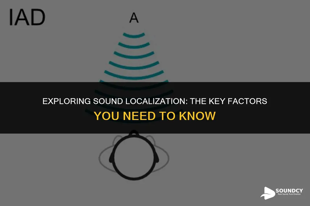 what are the two factors sound localization depends on