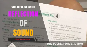 Exploring the Fundamental Laws of Sound Reflection