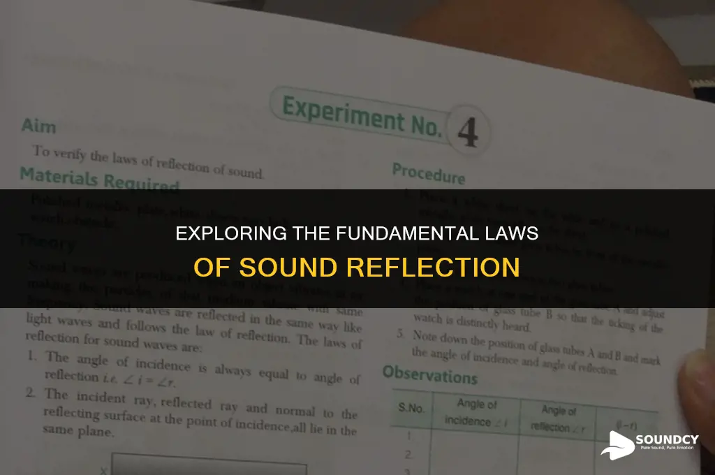 what are the two laws of reflection of sound