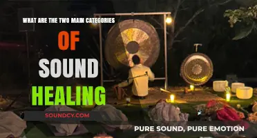 Harmonious Healing: Exploring the Two Main Categories of Sound Therapy