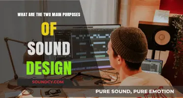 Unveiling the Dual Purposes of Sound Design: A Comprehensive Guide