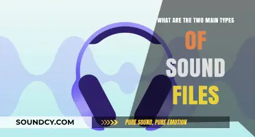 Exploring the Two Primary Categories of Sound Files