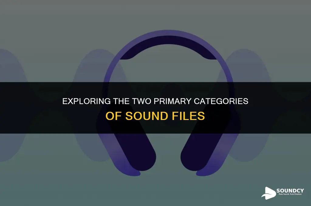 what are the two main types of sound files